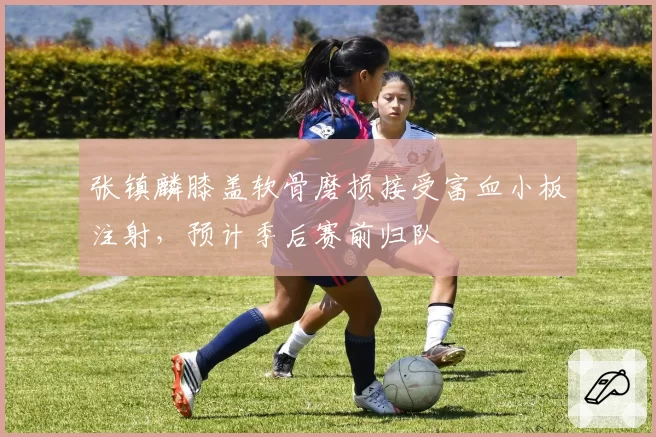 张镇麟膝盖软骨磨损接受富血小板注射,预计季后赛前归队