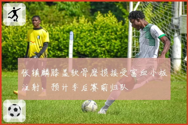 张镇麟膝盖软骨磨损接受富血小板注射,预计季后赛前归队